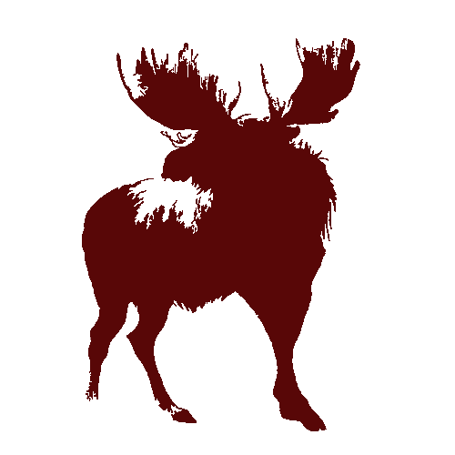 Animal 5 of 28