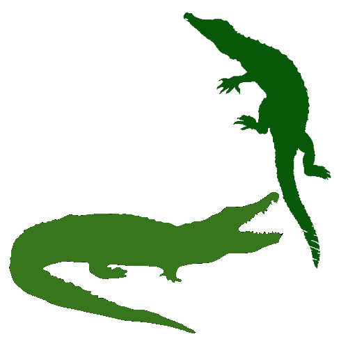 Animal 9 of 28