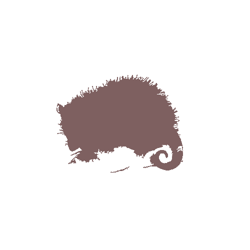 Animal 25 of 28